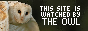 This site is watched by the owl button.