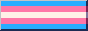 Transgender pride flag button.