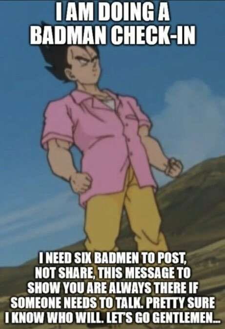 Vegeta from Dragon Ball Z: I am doing a badman check-in. I need six badmen to post, not share, this message to show you are always there if someone neds to talk. Pretty Sure I know who will. Let’s go gentlemen...