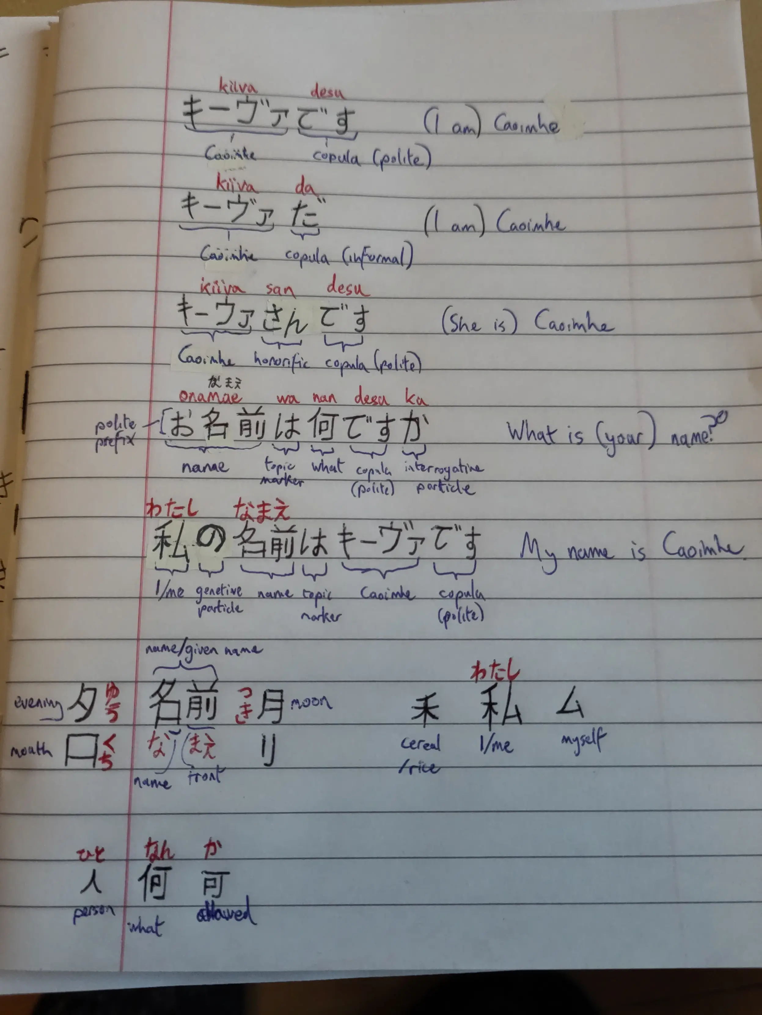 Basic Japanese notes, with word meanings and sentence grammar broken down and breaking down of kanji into components.