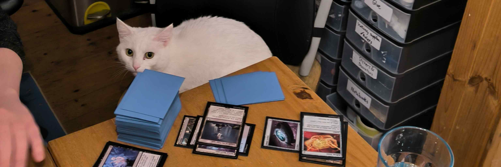 Easóg, a white cat, sitting in front of some Magic: The Gathering cards.