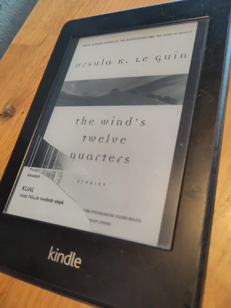 My Kindle with a busted screen.