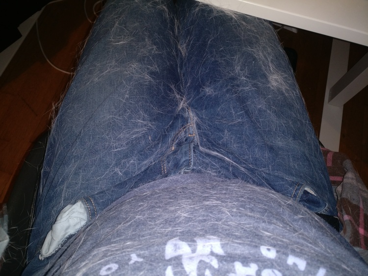 My lower body covered in cat hair.