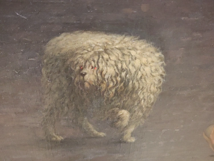 A very square-looking dog with white, matted hair and glowing red eyes.