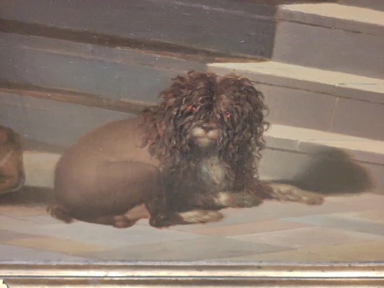 A brown dog with a matted, brown mane but weirdly smooth body and also glowing red eyes.